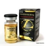 Durateston Landerlan Ouro