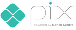Pagamentos aceitos apenas pix